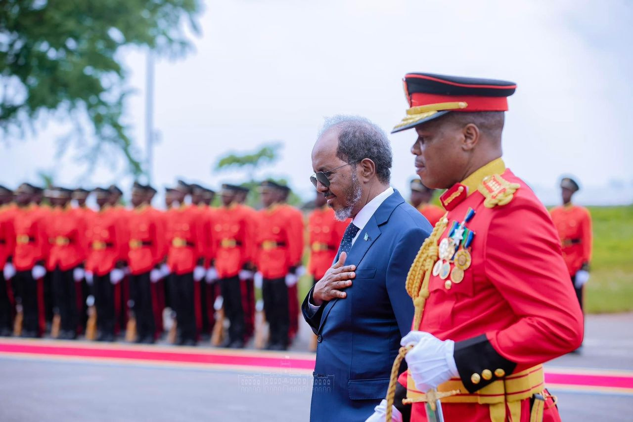President Hassan Sheikh meets his Tanzanian counterpart