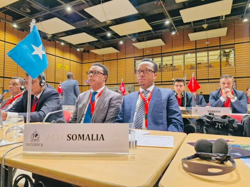 Somali Immigration Chief Attends Key Interpol Conference in France