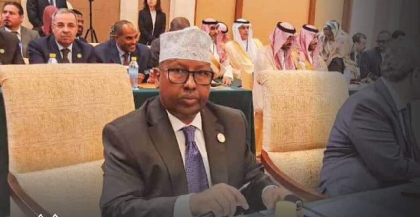 Somali Minister of Foreign Affairs Addresses China-Arab Forum in Beijing