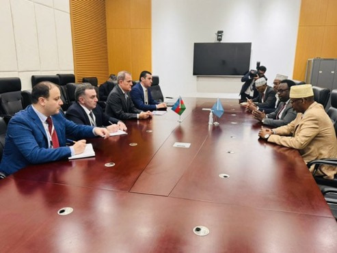 The Deputy Prime Minister meets officials from Azerbaijan, Qatar on the sidelines of the OIC summit