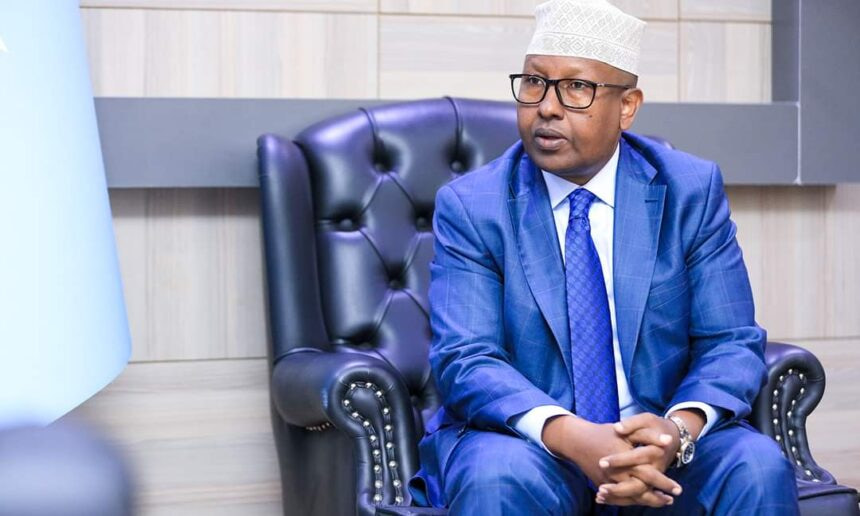 Somali Foreign Minister Engages in Diplomatic Dialogue at Islamic Summit Preparatory Meeting in Gambia