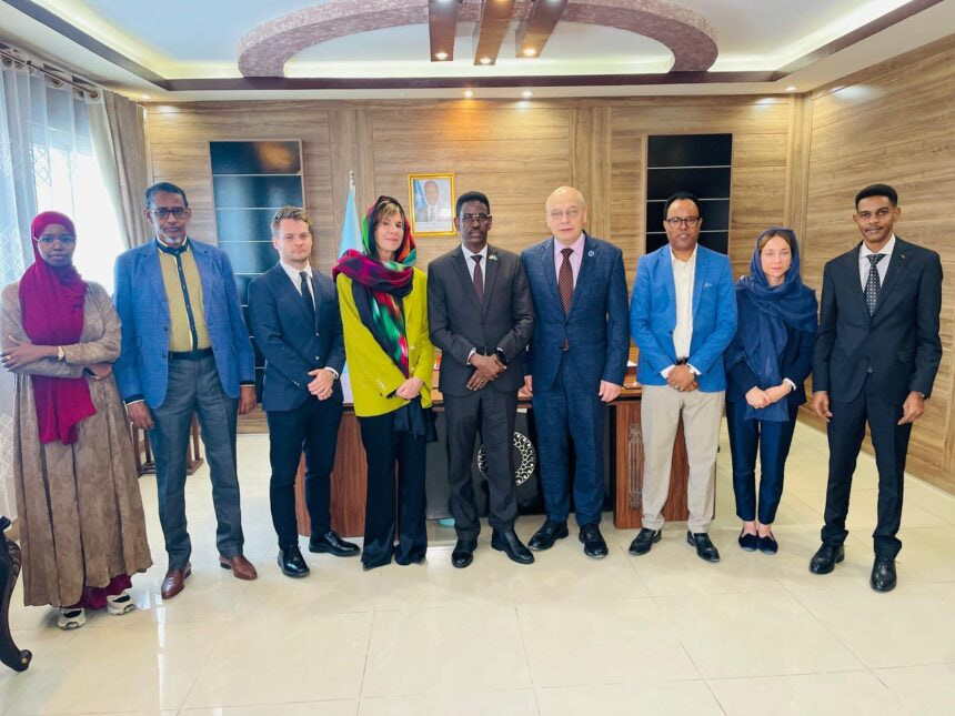 Somali Security Minister Meets EU Ambassador to Discuss Security Cooperation
