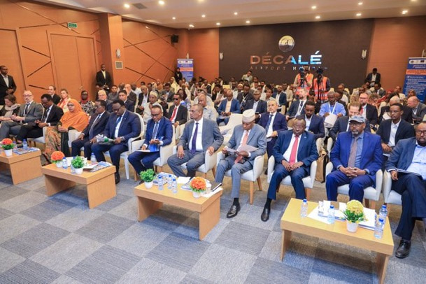 Deputy PM attends the RPDNA organised by SoDMA in Mogadishu