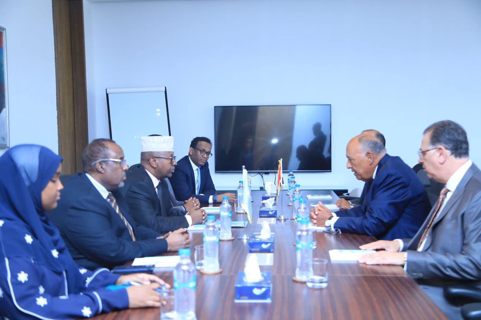 Minister of Foreign Affairs meets his Egyptian counterpart in Cairo