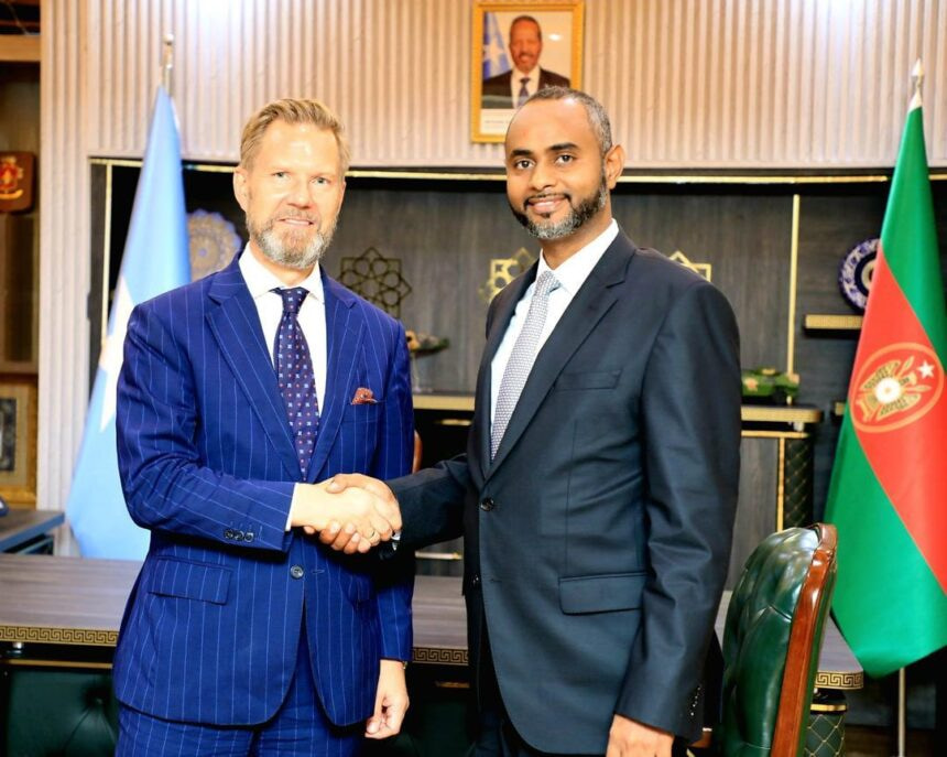 Somali Defense Minister Receives Swedish Ambassador in His Office