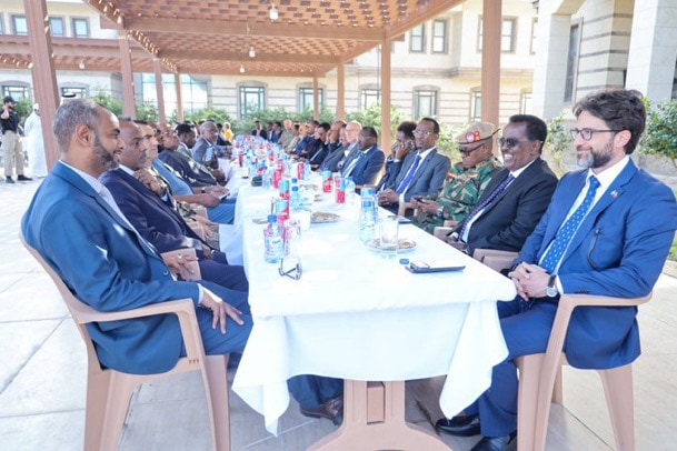 Somalia leaders join the commemoration of the National Unity and Democracy Day ofTürkiye
