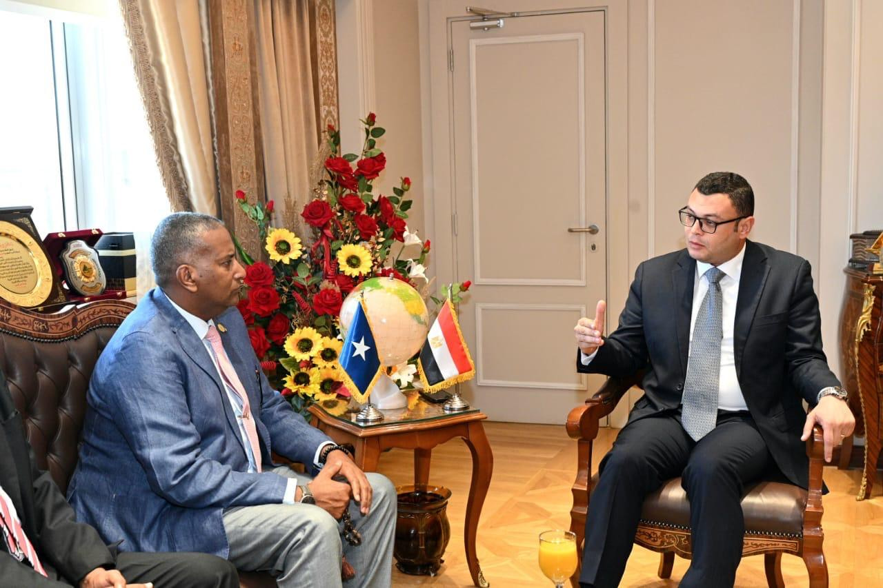 Somalia and Egypt Meet to Promote Public Works and Housing Cooperation