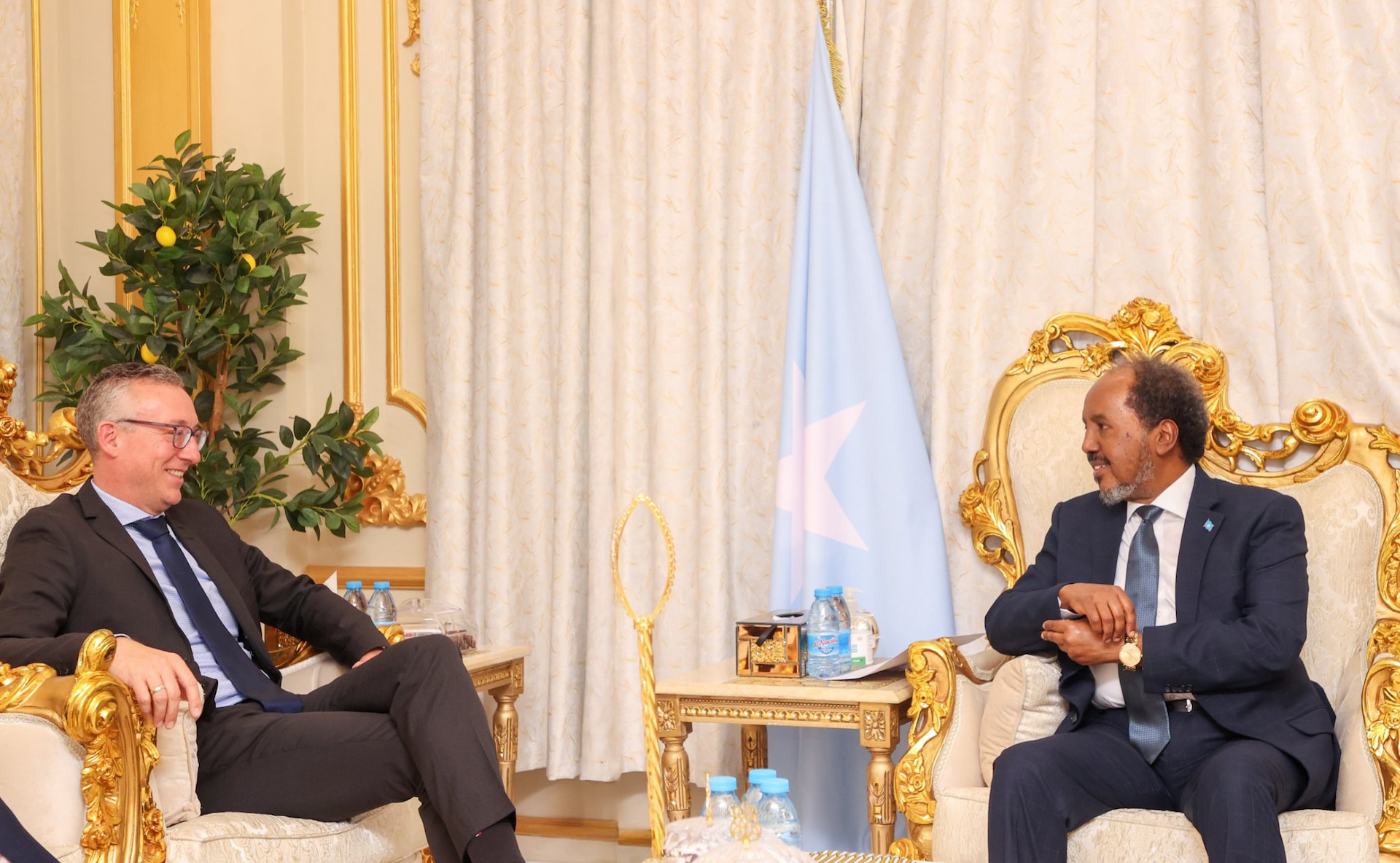 President Hassan Sheikh receives the Ambassador of Germany to Somalia