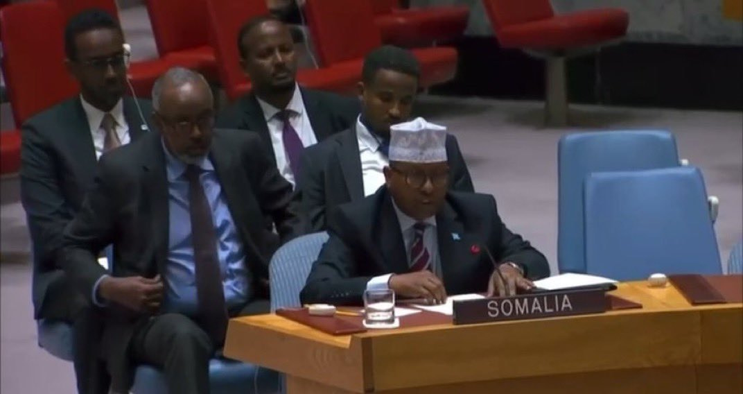 Somali Foreign Minister Addresses UN Security Council, Condemns Ethiopian Actions