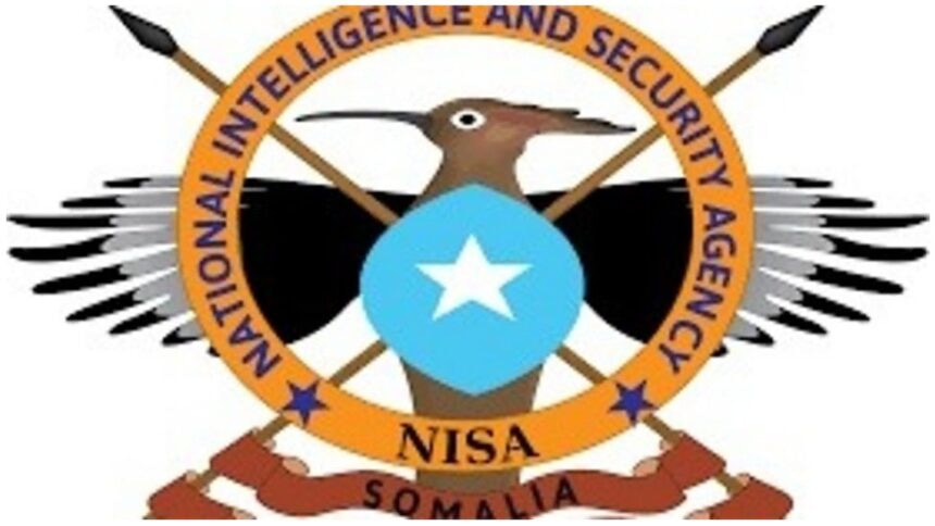 48 Al-Shabaab militants killed in operation in Hiiraan region
