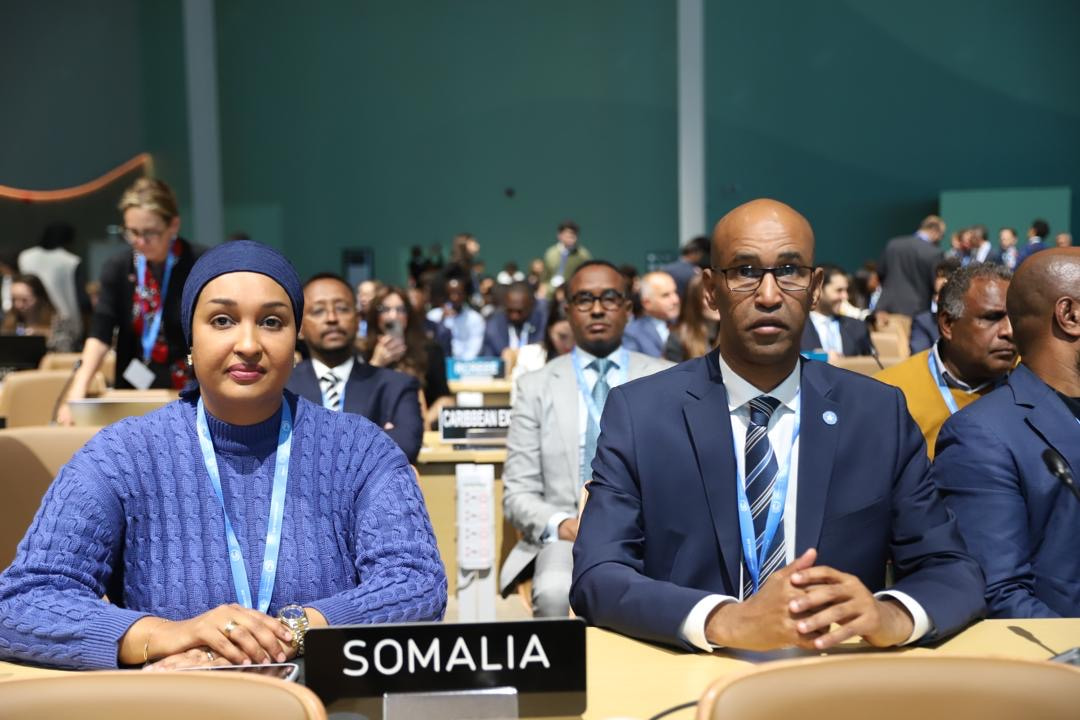 Minister of Environment participates in COP29 in Baku