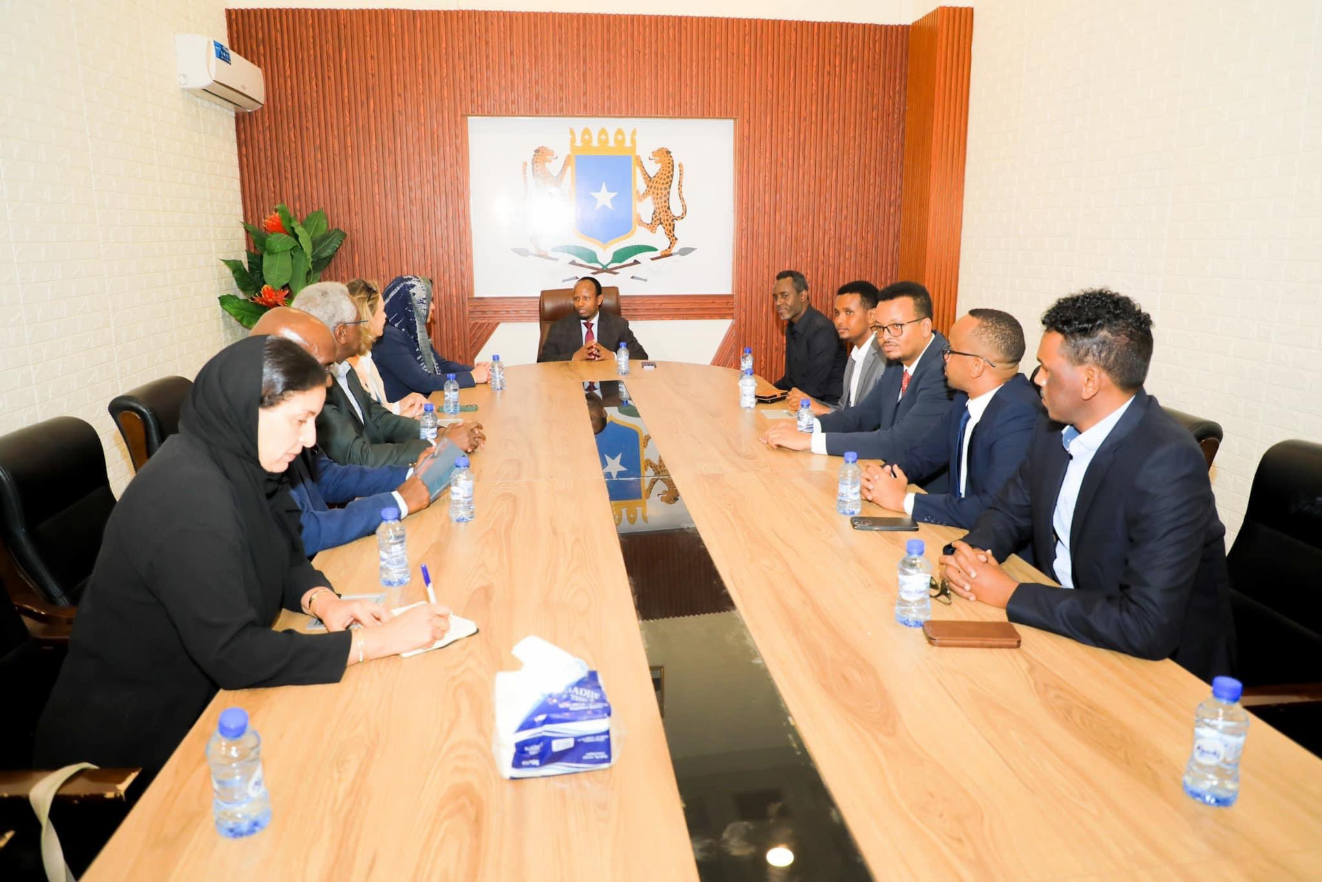Minister of Health welcomes WHO official