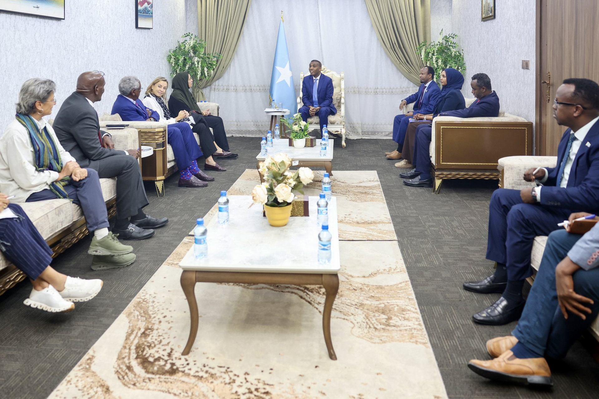 PM Hamza meets WHO's Eastern Mediterranean Regional Director