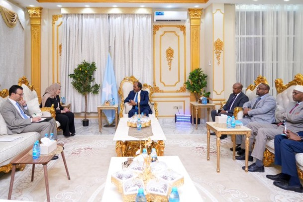 President Hassan receives Algerian Permanent Representative to the AU