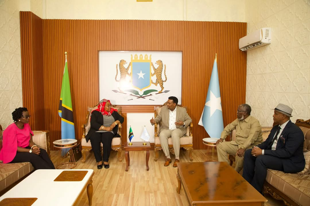Somalia Welcomes Tanzanian Delegation Ahead of MoU Signing