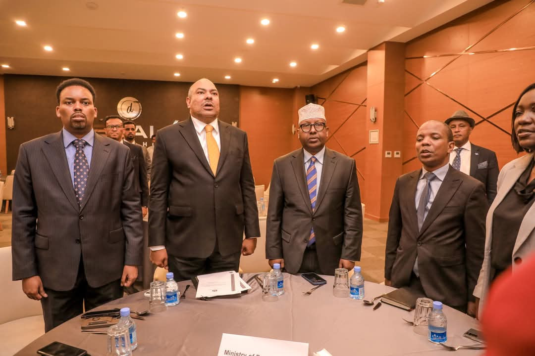 Somalia Hosts High-Level Tanzanian Delegation to Strengthen Bilateral Relations