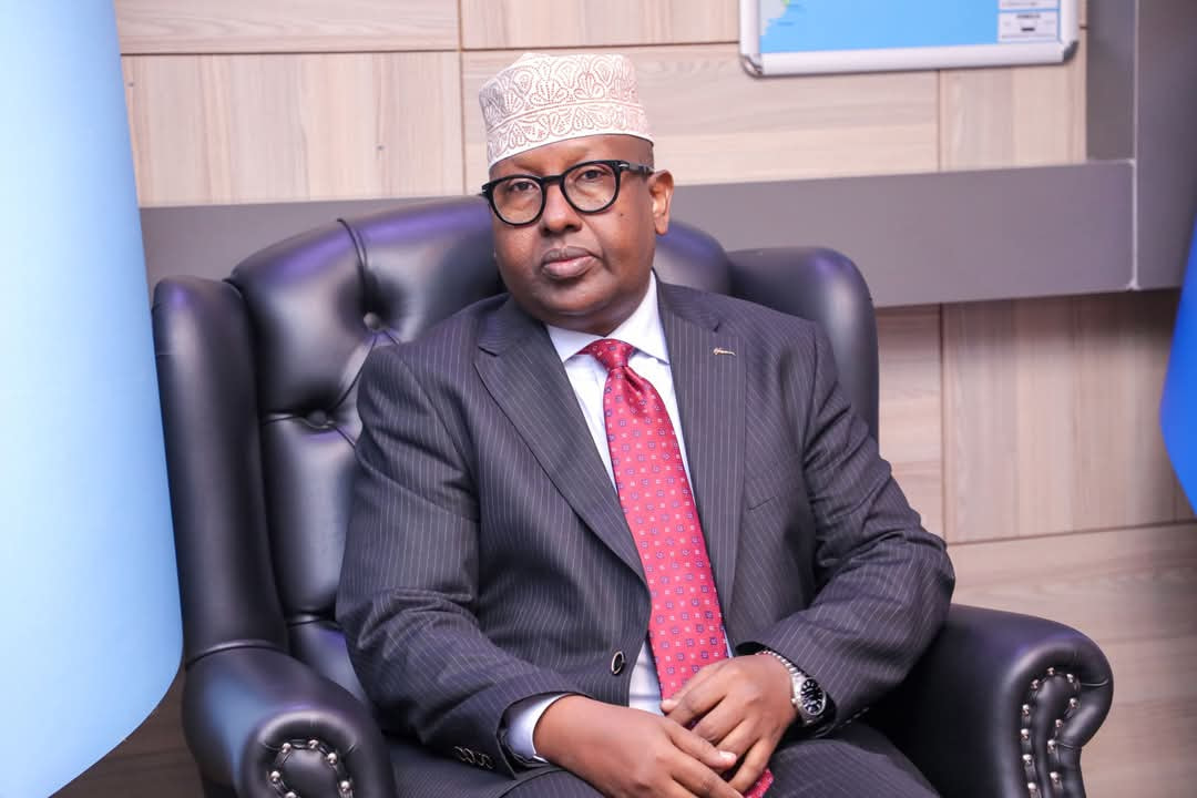 Somali Foreign Minister Engages in High-Level Talks with Egyptian Counterpart in Cairo