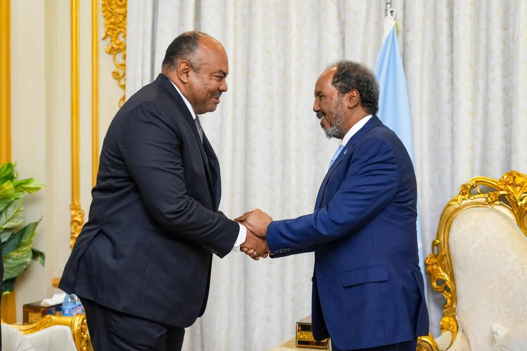 President Hassan Sheikh Receives Tanzanian Foreign Minister at Presidential Palace