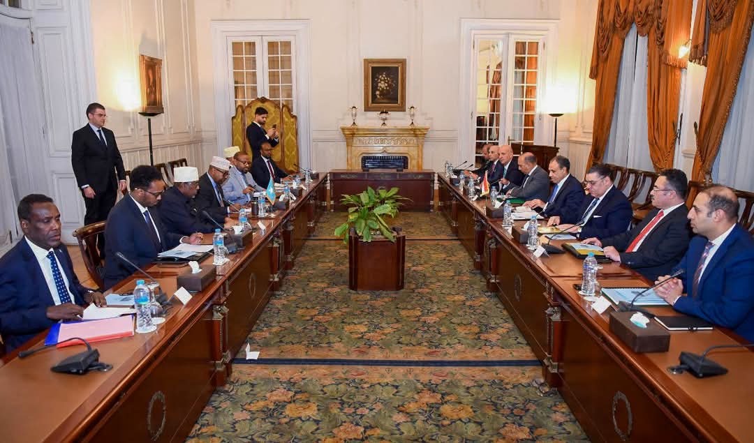 Minister of Foreign Affairs meets his Egyptian counterpart in Cairo
