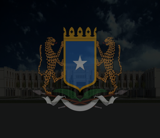 Somalia Hosts High-Level Defense Delegation from Ethiopia