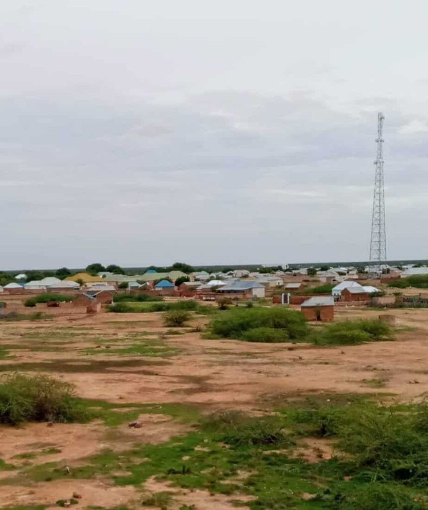3 Al-Shabaab militants killed in targeted operation in Galgaduud region