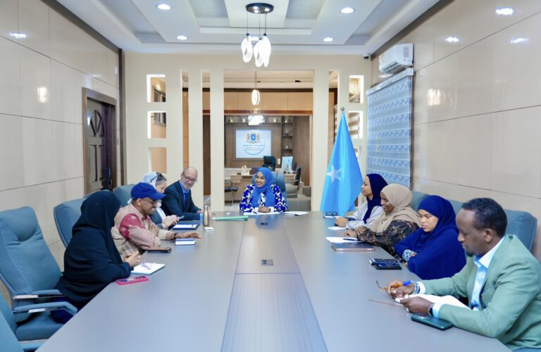 Minister of Family Meets with Deputy UN Special Envoy to Strengthen Cooperation