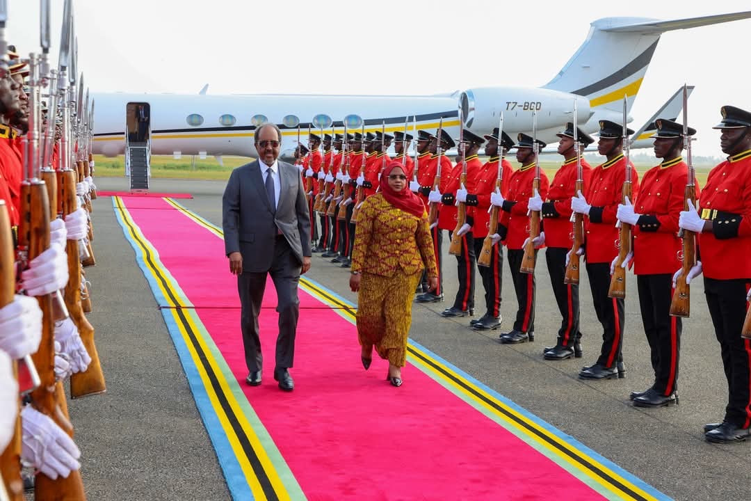 President Hassan Sheikh Attends Africa Energy Summit in Tanzania