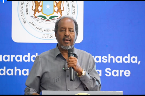 President Hassan Sheikh Mohamud Shares Nation's Historic Victory in United Nations Security Council with Citizens