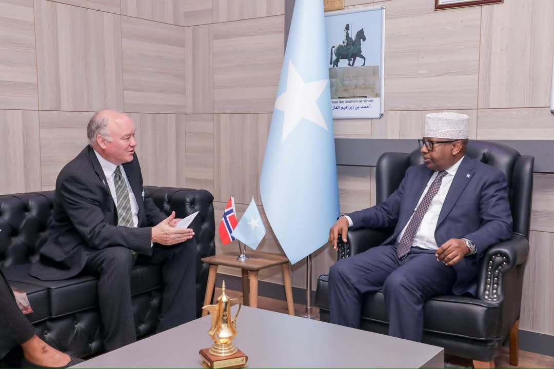 Minister of Foreign Affairs discusses strengthening cooperation with Norway’s Chargé d'Affaires
