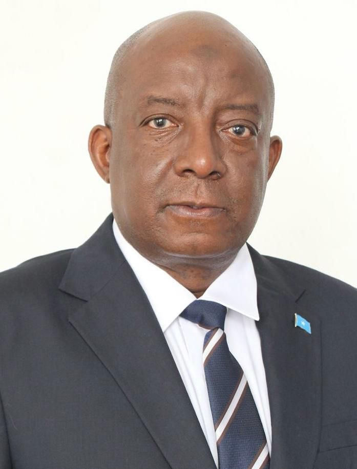 Diplomatic Renaissance: Somalia’s Strategic Reawakening in the Horn of Africa and Beyond
