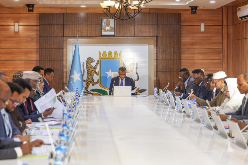 Somalia’s Cabinet Greenlights Government Regulations and Signs Security Pact with Iraq