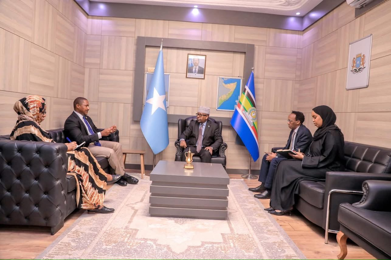 Somali FM Discusses Humanitarian Collaboration with UNHCR Regional Director