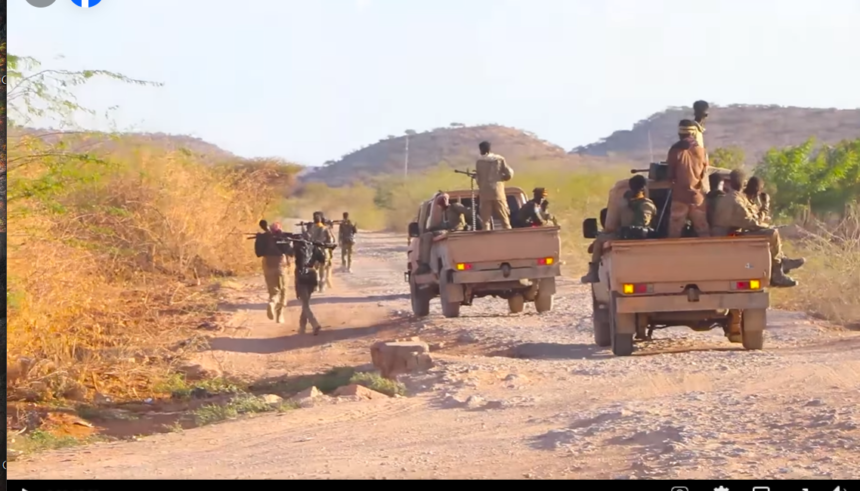 Over 60 Daesh Militants Killed by Puntland Forces in Calmiskaad Mountains