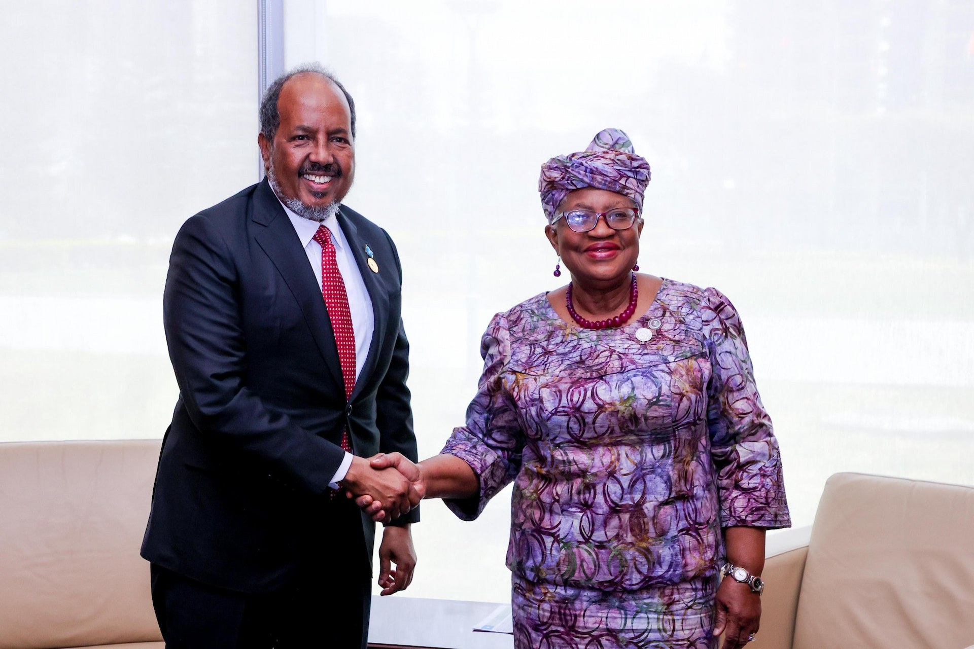 President Mohamud discusses Somalia’s accession to WTO with Director General