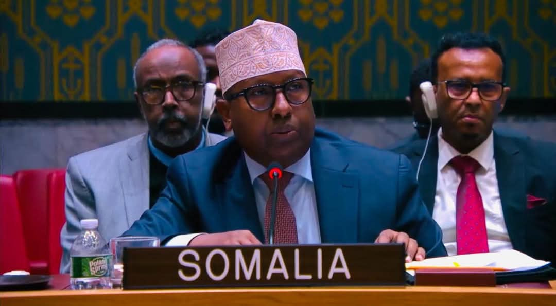 Somalia Successfully Exits UN Security Council Arrears List After 35 Years