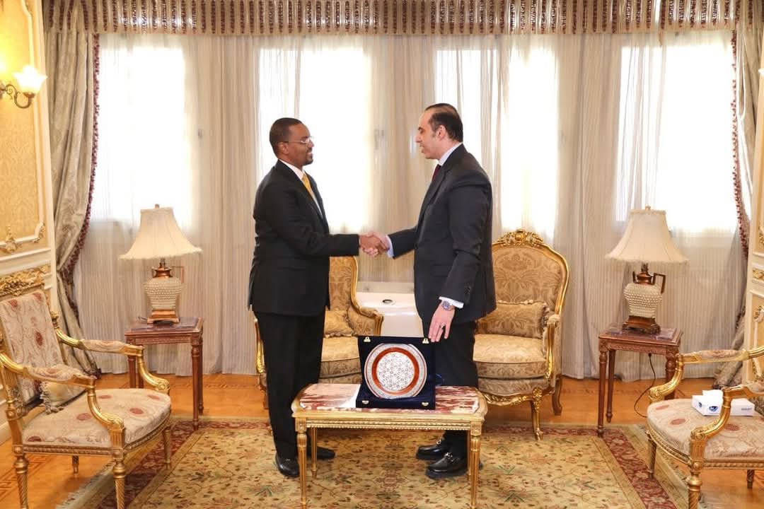 Somalia, Egypt Discuss Strengthening Legislative and Judicial Cooperation