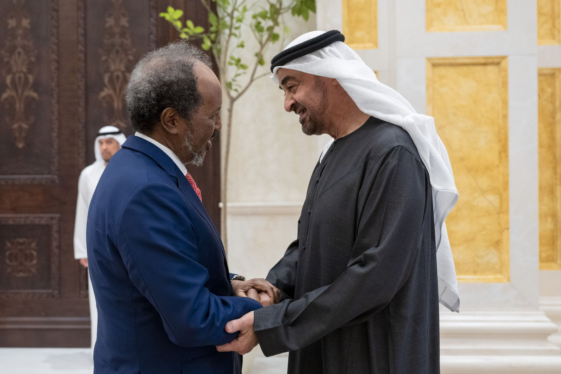 President Hassan Sheikh receives warm reception from His UAE counterpart