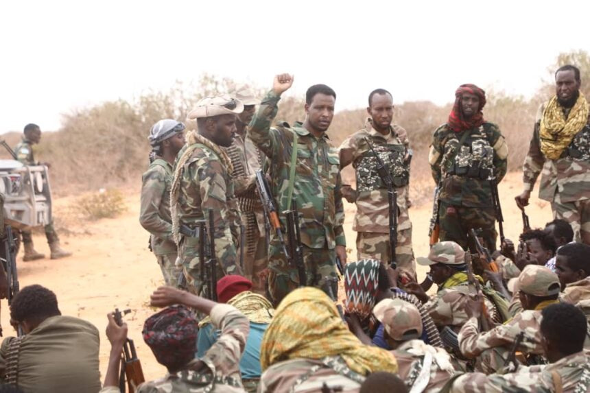 Somali National Army Conducts Successful Operations in Laba-garas