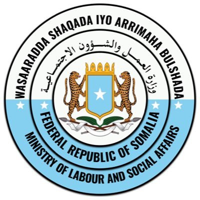 Somalia Launches National Job Portal to Boost Employment Opportunities