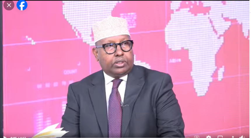 Somali Government Achieves Significant Success in Foreign Policy, Says Minister Fiqi