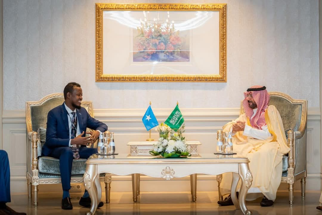 Labour Minister Meets Saudi Deputy Minister to Strengthen Bilateral Cooperation