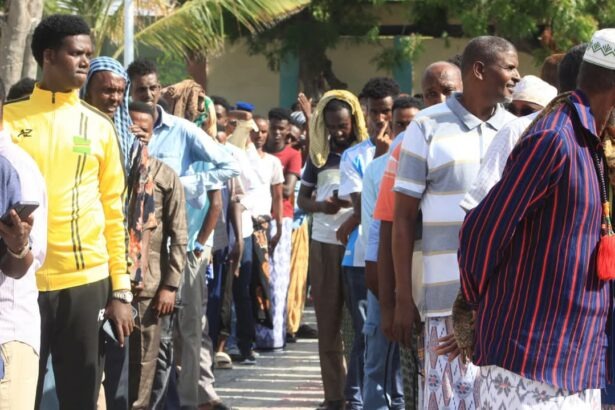 Voter Registration Begins in Wadajir and Dharkeynley Districts