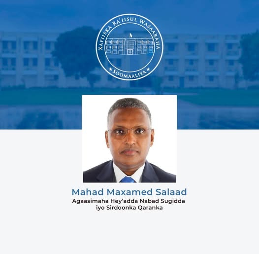 Somali Cabinet Approves Appointment of Mahad Mohamed Salad as New NISA Director