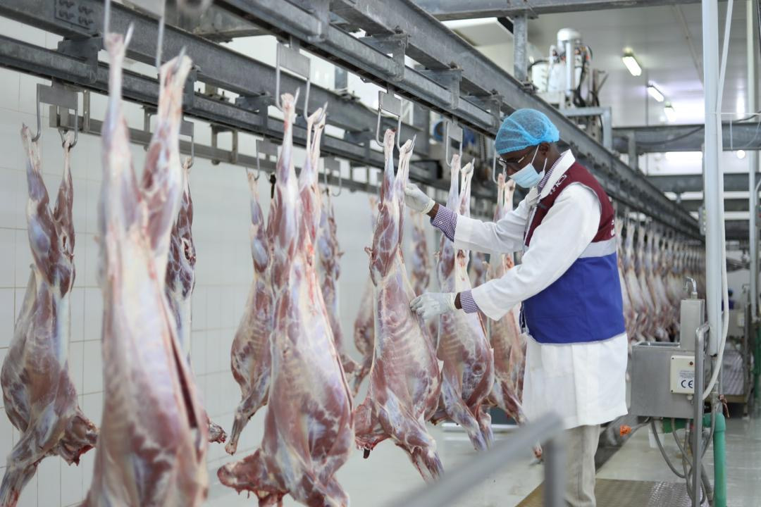 Qatar Charity Distributes Eid al-Adha Meat to Thousands of Vulnerable Families in Mogadishu and Hargeisa