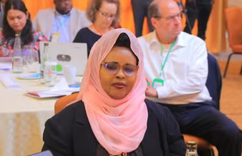 Somalia Advocates for Global Access to Affordable NCD Medications at International Summit