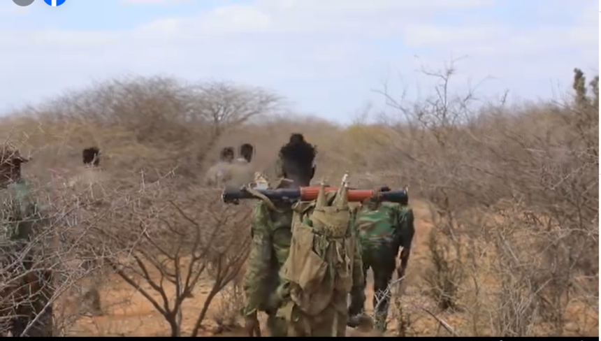 Somali Forces Launch Multi-Front Assault on Al-Shabaab Hideouts in Hiiraan