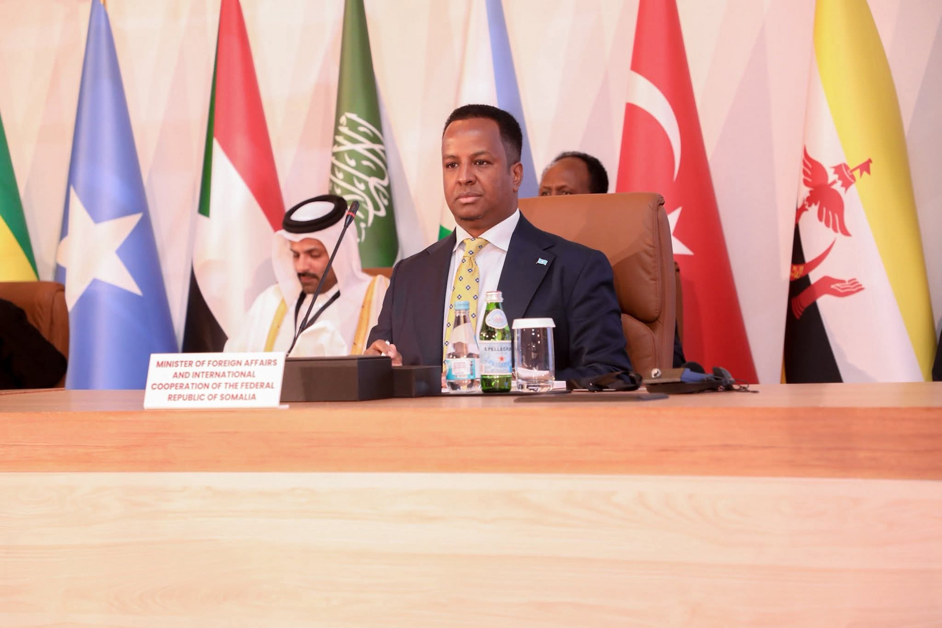 Foreign Minister Urges Stronger OIC Support at High-Level Meeting in Doha