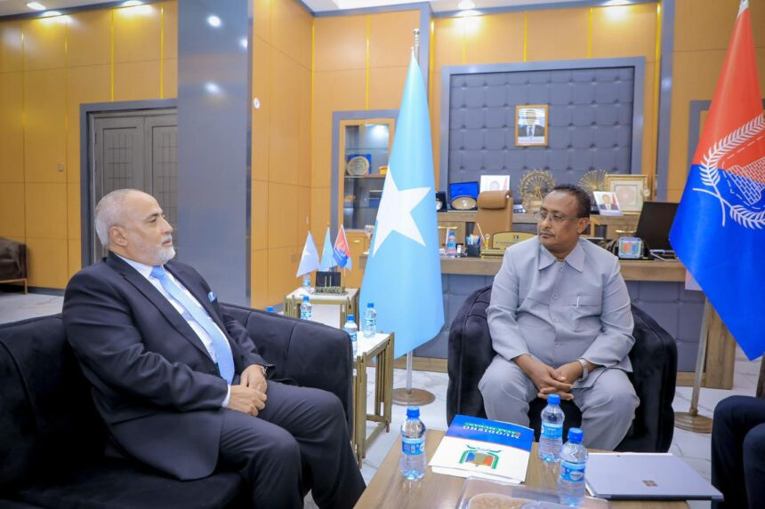 Mogadishu Mayor Engages with Libyan Diplomat to Bolster Capital-to-Capital Cooperation