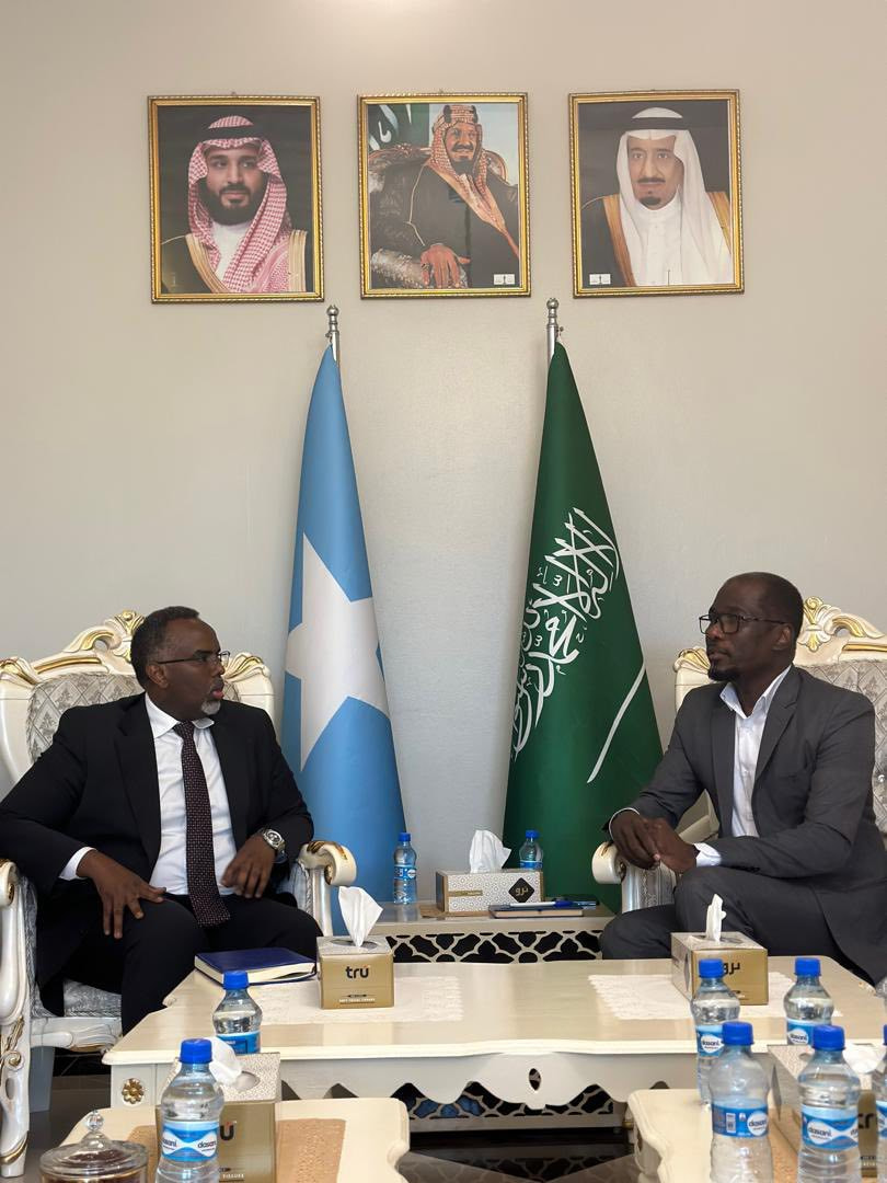 Somalia and Saudi Arabia Discuss Enhanced Investment Ties
