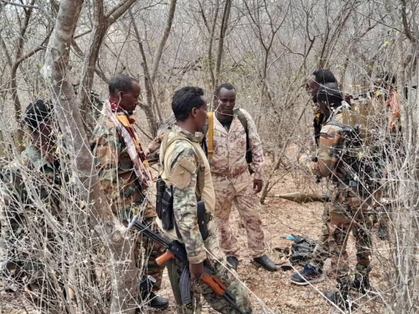 Somali National Army Conducts Operations in Bay Region